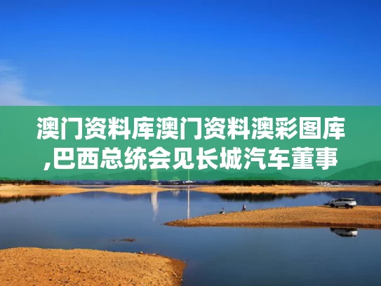 澳门资料库澳门资料澳彩图库,巴西总统会见长城汽车董事长魏建军
