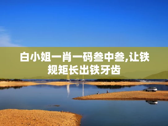 白小姐一肖一码叁中叁,让铁规矩长出铁牙齿
