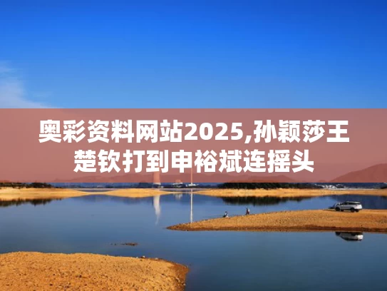 奥彩资料网站2025,孙颖莎王楚钦打到申裕斌连摇头