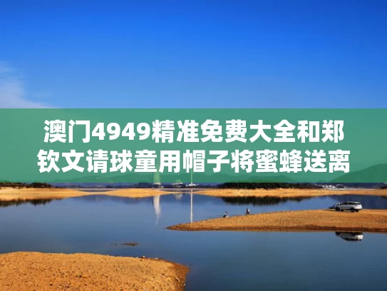 澳门4949精准免费大全和郑钦文请球童用帽子将蜜蜂送离场地与