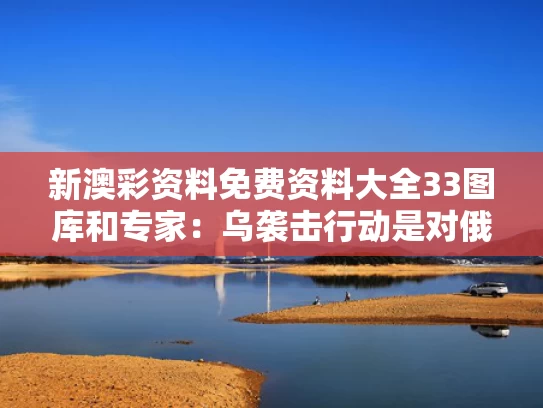 新澳彩资料免费资料大全33图库	和专家：乌袭击行动是对俄罗斯的敲打与乌克兰袭击