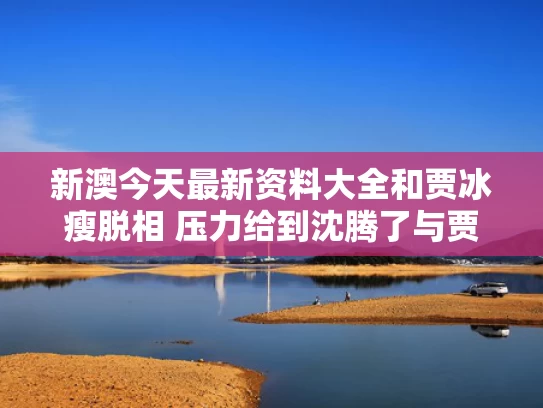 新澳今天最新资料大全	和贾冰瘦脱相 压力给到沈腾了与贾冰贾冰