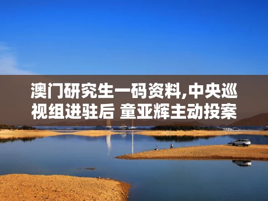 澳门研究生一码资料,中央巡视组进驻后 童亚辉主动投案