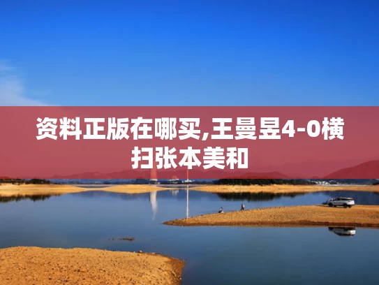 资料正版在哪买,王曼昱4-0横扫张本美和