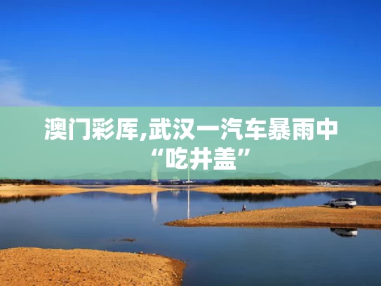 澳门彩厍,武汉一汽车暴雨中“吃井盖”