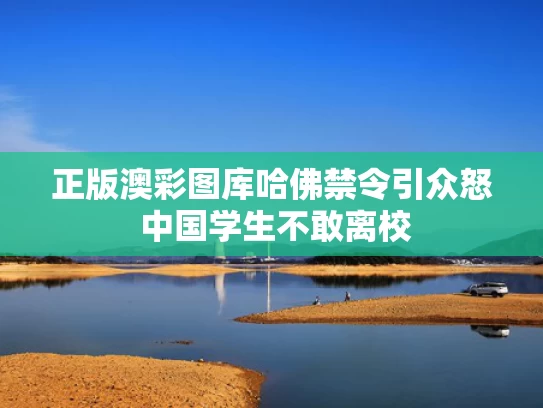 2025年5月25日 第33页