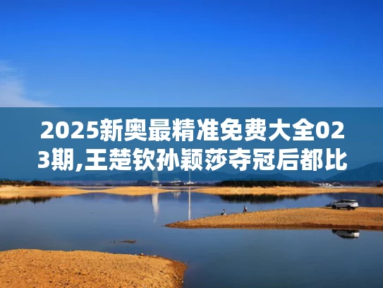 2025新奥最精准免费大全023期,王楚钦孙颖莎夺冠后都比了3
