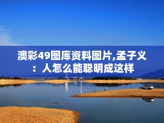 澳彩49图库资料图片,孟子义：人怎么能聪明成这样