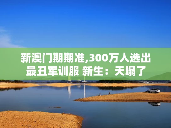 新澳门期期准,300万人选出最丑军训服 新生：天塌了