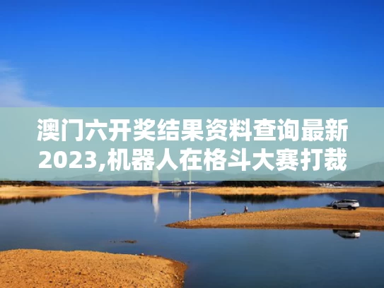 澳门六开奖结果资料查询最新2023,机器人在格斗大赛打裁判