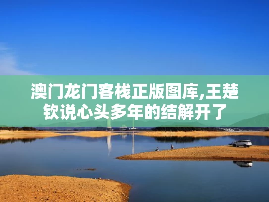 澳门龙门客栈正版图库,王楚钦说心头多年的结解开了