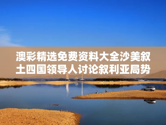 澳彩精选免费资料大全	沙美叙土四国领导人讨论叙利亚局势
