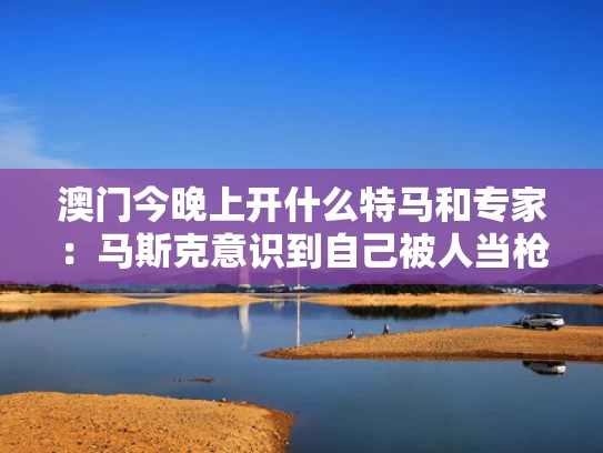 澳门今晚上开什么特马和专家：马斯克意识到自己被人当枪使了与马斯克用人