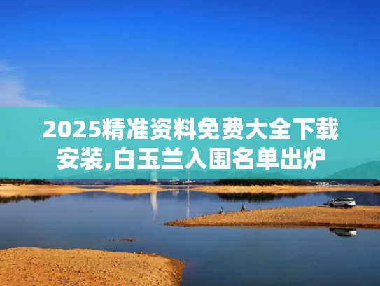 2025精准资料免费大全下载安装,白玉兰入围名单出炉