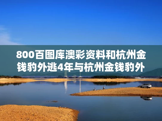800百图库澳彩资料	和杭州金钱豹外逃4年与杭州金钱豹外逃视频