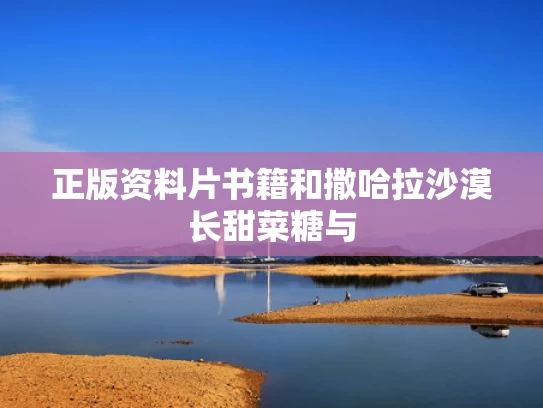 正版资料片书籍和撒哈拉沙漠长甜菜糖与