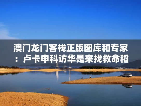 澳门龙门客栈正版图库和专家：卢卡申科访华是来找救命稻草与卢卡申科强势回应英国
