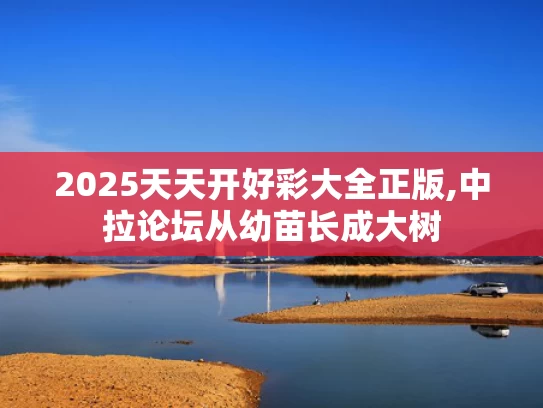 2025天天开好彩大全正版,中拉论坛从幼苗长成大树
