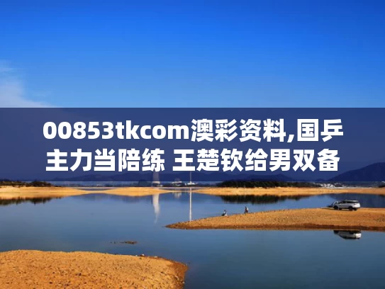 00853tkcom澳彩资料,国乒主力当陪练 王楚钦给男双备战