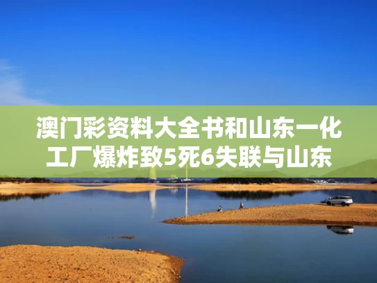 澳门彩资料大全书	和山东一化工厂爆炸致5死6失联与山东一化工厂突发大火