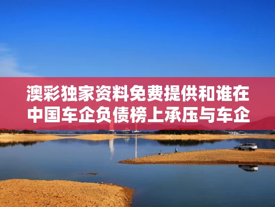 澳彩独家资料免费提供	和谁在中国车企负债榜上承压与车企负债排行榜