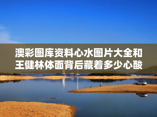 澳彩图库资料心水图片大全	和王健林体面背后藏着多少心酸与王健林实在