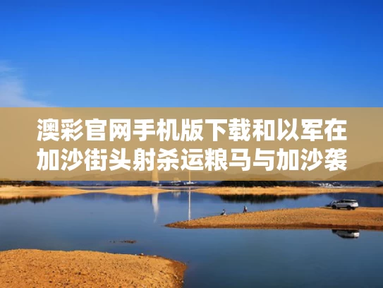澳彩官网手机版下载和以军在加沙街头射杀运粮马与加沙袭击以色列