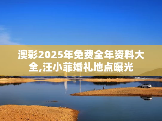 澳彩2025年免费全年资料大全,汪小菲婚礼地点曝光