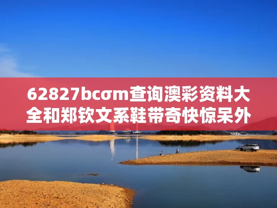 62827bcσm查询澳彩资料大全和郑钦文系鞋带奇快惊呆外国人与手工织开衫外套毛衣图片