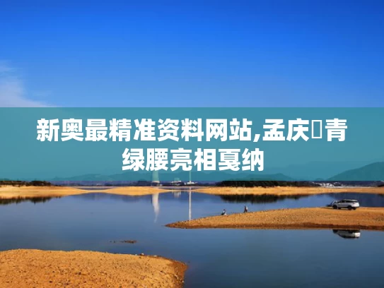 2025年5月17日 第4页