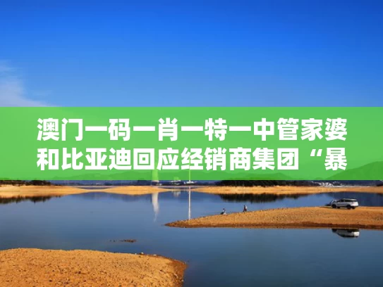 澳门一码一肖一特一中管家婆和比亚迪回应经销商集团“暴雷”与比亚迪销售有限公司