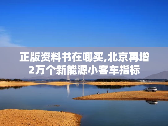 正版资料书在哪买,北京再增2万个新能源小客车指标
