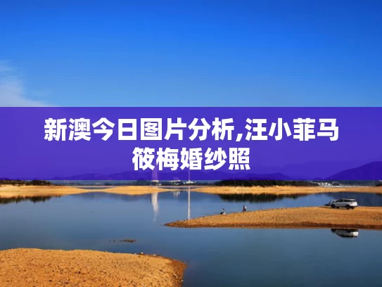 新澳今日图片分析,汪小菲马筱梅婚纱照