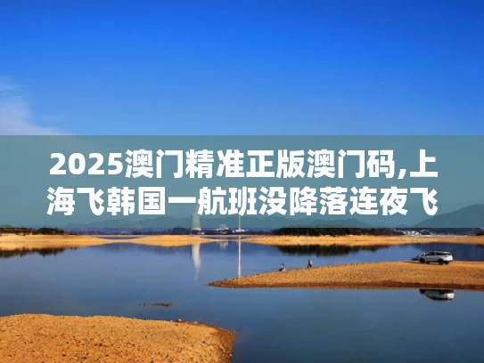2025澳门精准正版澳门码,上海飞韩国一航班没降落连夜飞回国