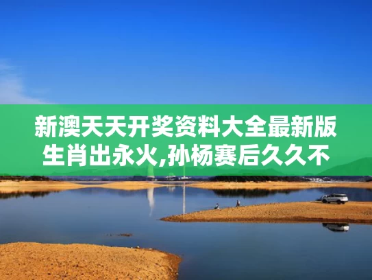 新澳天天开奖资料大全最新版生肖出永火,孙杨赛后久久不愿离去