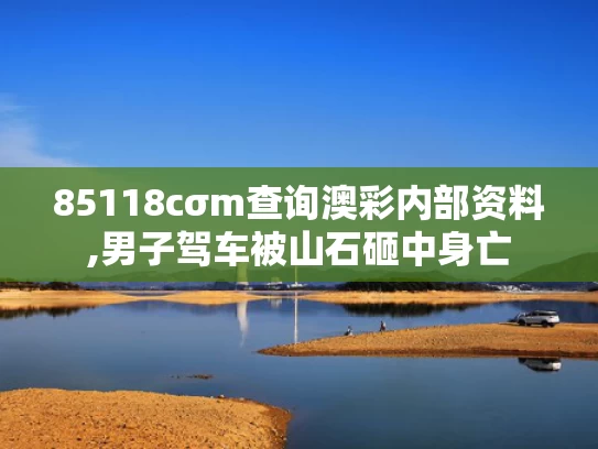 85118cσm查询澳彩内部资料,男子驾车被山石砸中身亡