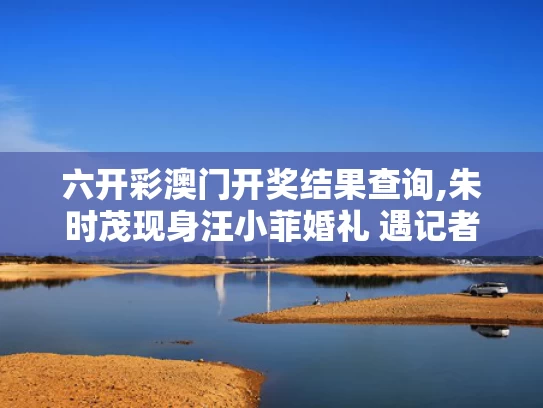 六开彩澳门开奖结果查询,朱时茂现身汪小菲婚礼 遇记者速逃离