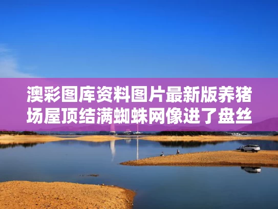 2025年5月18日