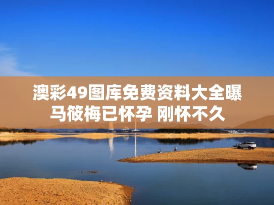 2025年5月19日 第5页