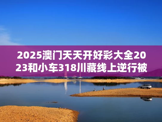 2025澳门天天开好彩大全2023和小车318川藏线上逆行被大货车逼退与318川藏线大货车好走吗