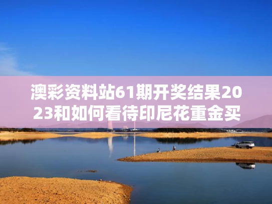 澳彩资料站61期开奖结果2023和如何看待印尼花重金买土耳其五代机与印尼和土耳其