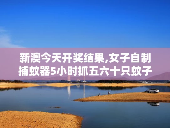 新澳今天开奖结果,女子自制捕蚊器5小时抓五六十只蚊子