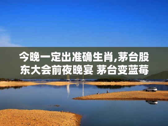 今晚一定出准确生肖,茅台股东大会前夜晚宴 茅台变蓝莓汁