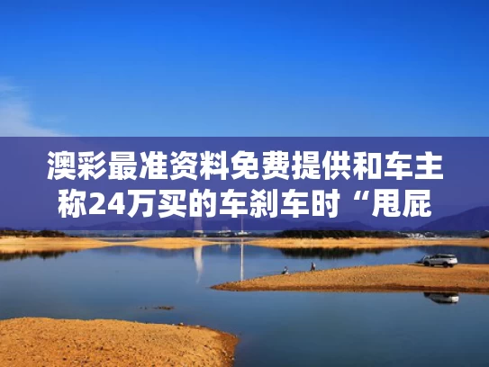 澳彩最准资料免费提供	和车主称24万买的车刹车时“甩屁股”与