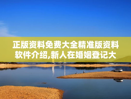 正版资料免费大全精准版资料软件介绍,新人在婚姻登记大厅打架？系摆拍