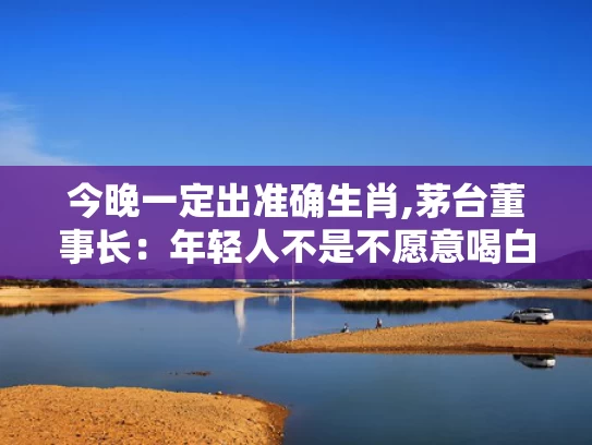 今晚一定出准确生肖,茅台董事长：年轻人不是不愿意喝白酒