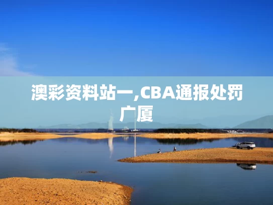 澳彩资料站一,CBA通报处罚广厦