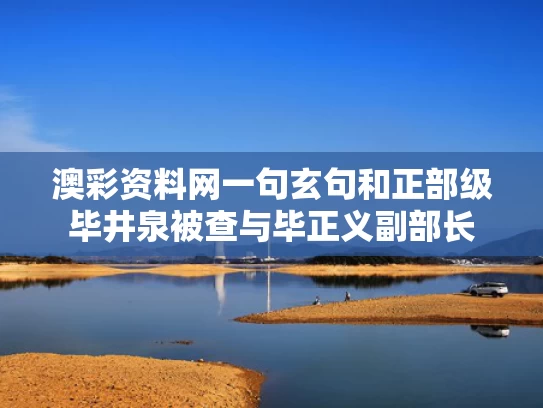 澳彩资料网一句玄句	和正部级毕井泉被查与毕正义副部长