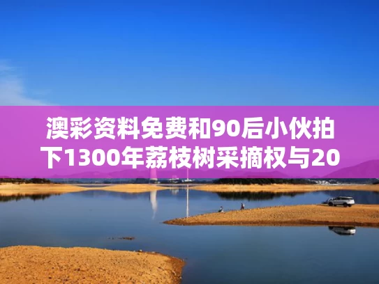 澳彩资料免费	和90后小伙拍下1300年荔枝树采摘权与2021摘荔枝