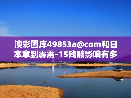 澳彩图库49853a@com和日本拿到霹雳-15残骸影响有多大与霹雳-15导弹